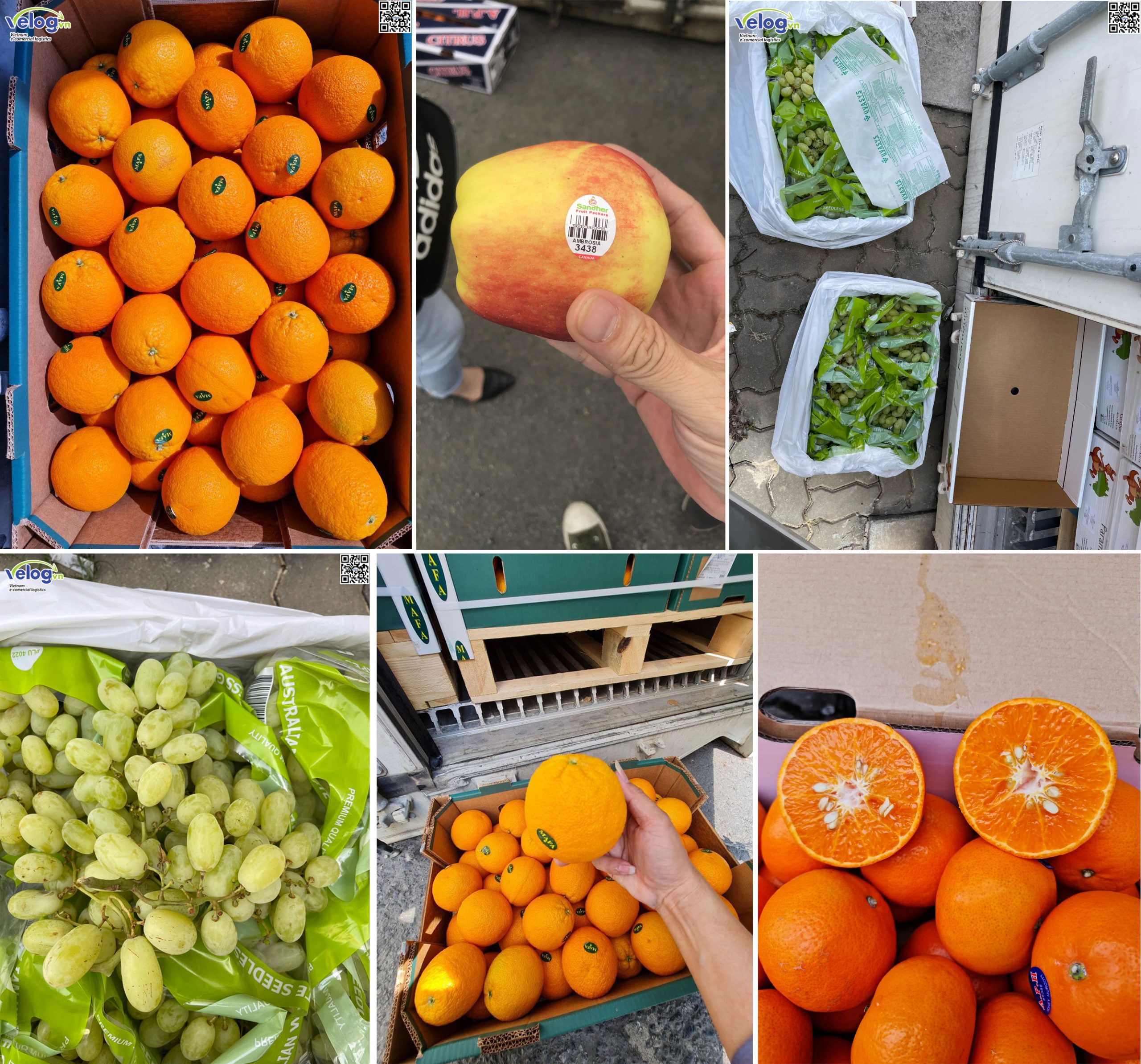 Thủ tục nhập khẩu trái cây tươi vào Việt Nam