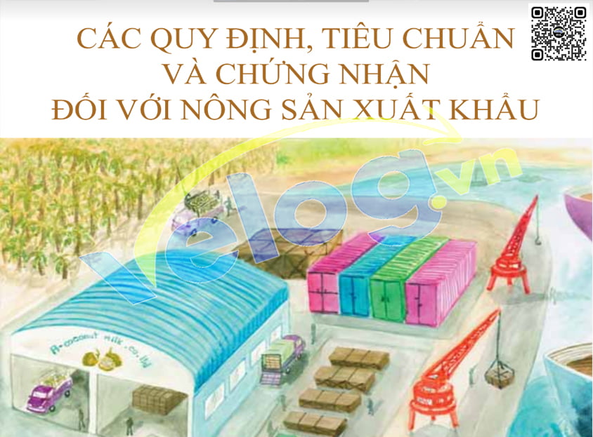 Toàn bộ các file hữu ích dành cho thị trường xuất khẩu nông sản đi Trung Quốc 1 xuất khẩu nông sản đi trung quốc